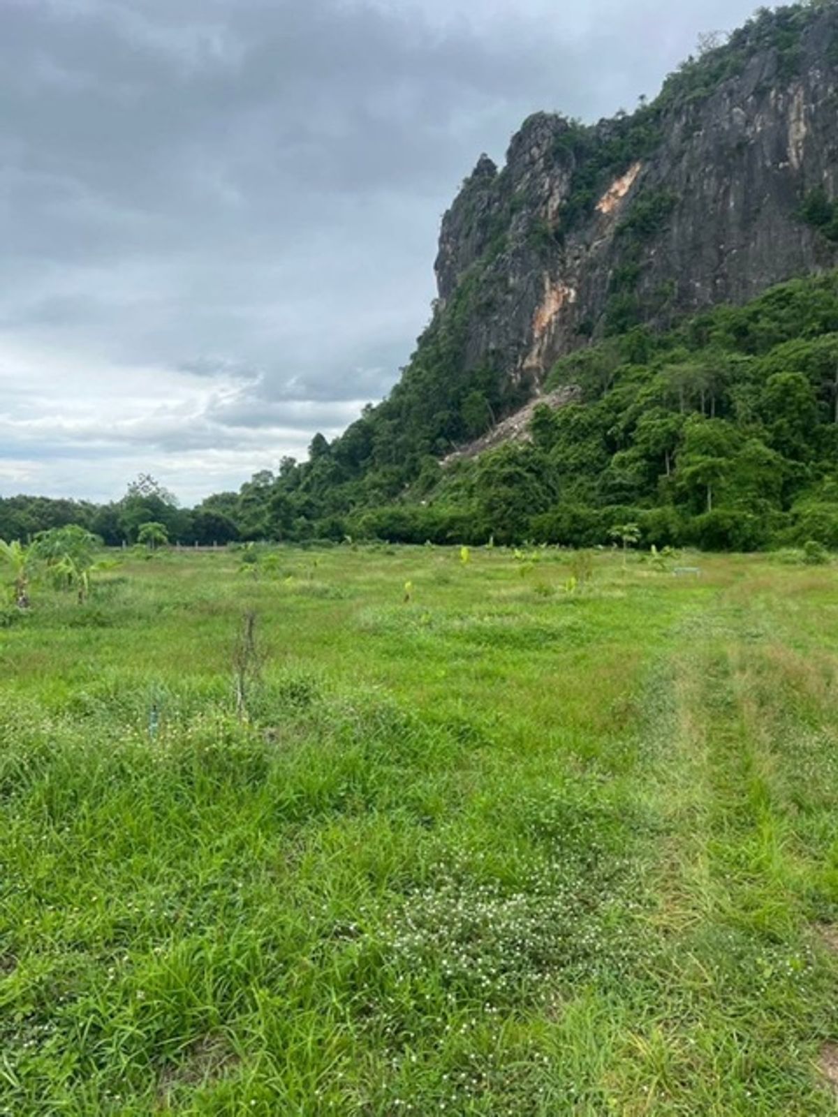 ขายที่ดินราชบุรี : ขายที่ดินวิวเขา ติดถนนสาธารณะ ด้านหลัง วิวเขากลอย ต.ทุ่งหลวง อ.ปากท่อ จ.ราชบุรี   ที่ดิน 9 ไร่ 9ตรว.ปลูกต้นไม้ หลายต้น อากาศดี 