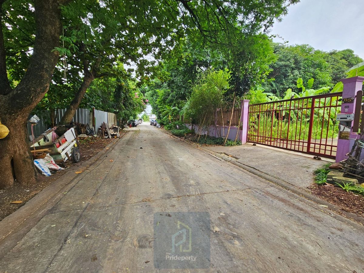 ขายที่ดินอ่อนนุช อุดมสุข : ขาย ที่ดินเปล่า 145 ตร.วา ซ.ปุณณวิถี 43 สุขุมวิท 101 ถนนกว้าง แปลงสี่เหลี่ยม