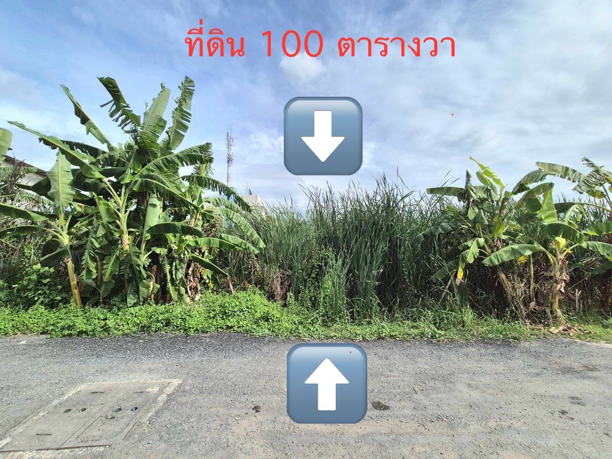 ขายที่ดินปทุมธานี รังสิต ธรรมศาสตร์ : **ขายที่ดิน ถูกมาก (100 ตร.ว.) ซอยร่วมสุข 4/5 ถนนติวานนท์ บ้านใหม่ ปทุมธานี