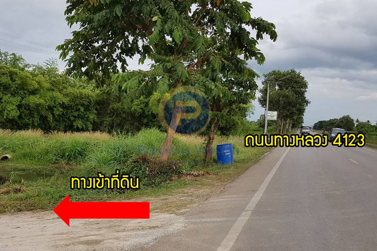 ขายที่ดินราชบุรี : ที่ดินราชบุรี โพธาราม  เนื้อที่ดิน 4-3-90 ไร่