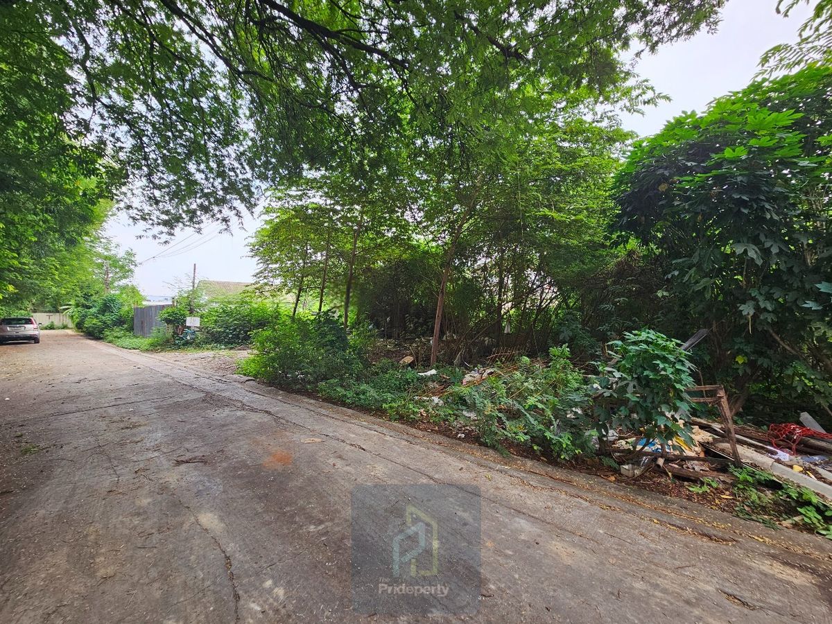 ขายที่ดินอ่อนนุช อุดมสุข : ขาย ที่ดินเปล่า 145 ตร.วา ซ.ปุณณวิถี 43 สุขุมวิท 101 ถนนกว้าง แปลงสี่เหลี่ยม