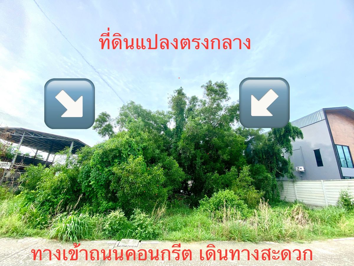 ขายที่ดินปทุมธานี รังสิต ธรรมศาสตร์ : **ขายที่ดินปล่าวทำเลดี (1 ไร่ ) บึงคำพร้อย ซอย 4 ใกล้ ถนนรังสิต-นครนายก ลำลูกกา วงแหวน 