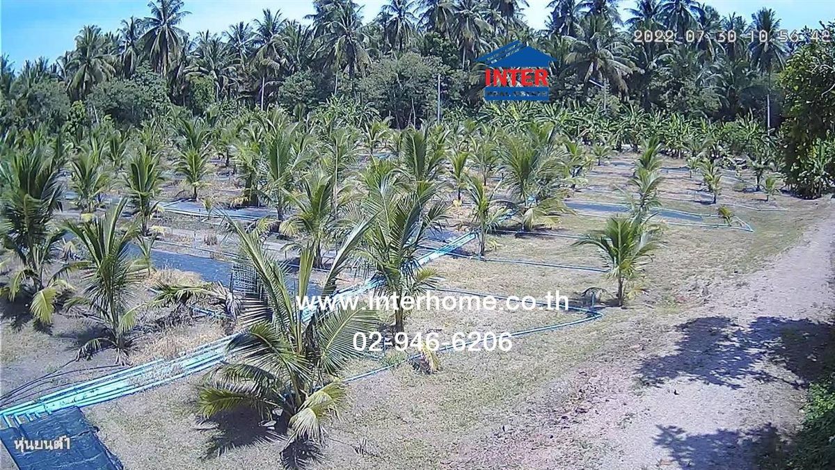 ขายที่ดินสมุทรสงคราม : ที่ดินเปล่า 2 ไร่ 40 ตร.ว. ที่ดิน ใกล้ตลาดน้ำดำเนินสะดวก ถนนสมุทรสงคราม-บางแพ ถนนโยธาธิการสมุทรสงคราม234 บางคนที สมุทรสงคราม