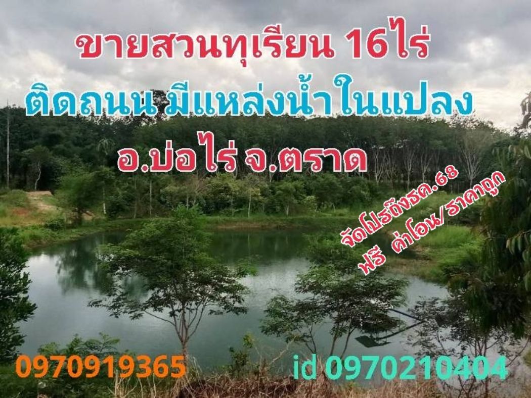 ขายที่ดินตราด : ขาย ที่ดิน สวนทุเรียน 16 ไร่ 1 งาน 40 ตร.วา ให้ผลผลิตแล้ว อ.บ่อไร่ จ.ตราด