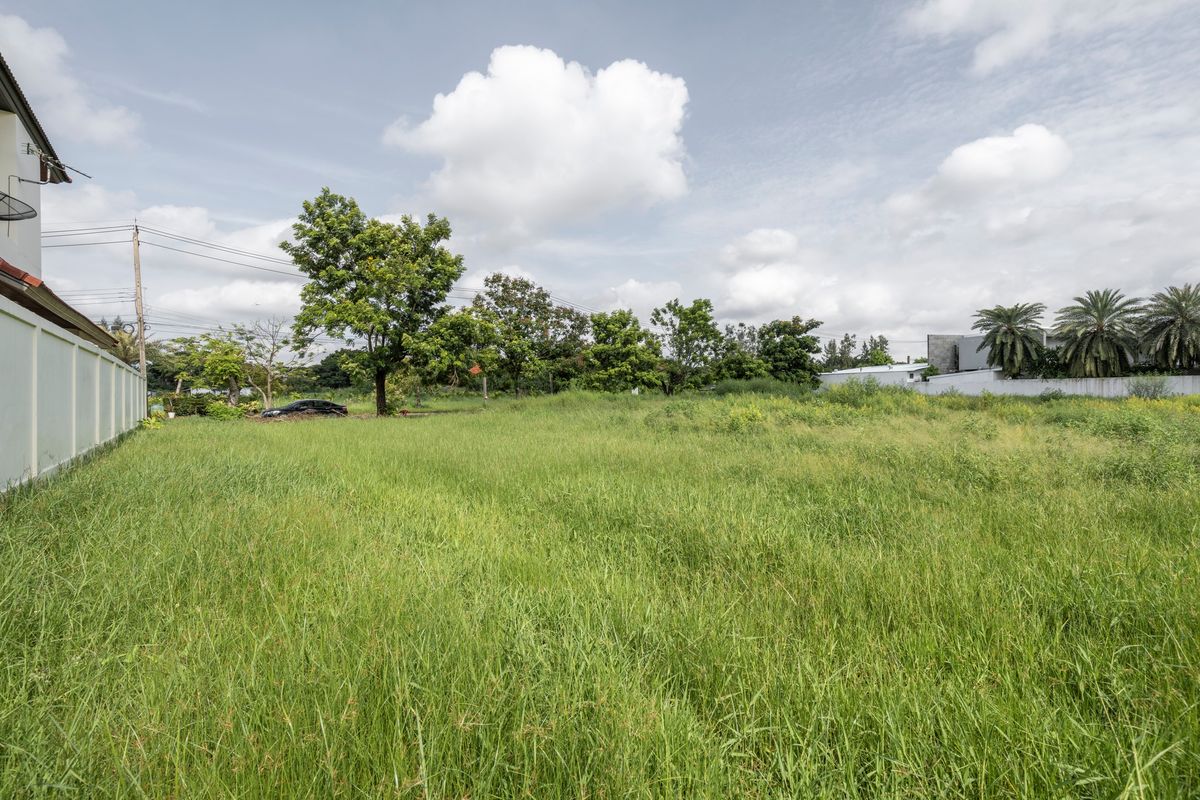 ขายที่ดินสมุทรปราการ สำโรง : ที่ดิน 3 งาน 15 ตร.ว. วินด์มิลล์ พาร์ค / (ขาย), Land 3 ngan 15 sq.wa. Windmill Park / (FOR SALE) AIM068