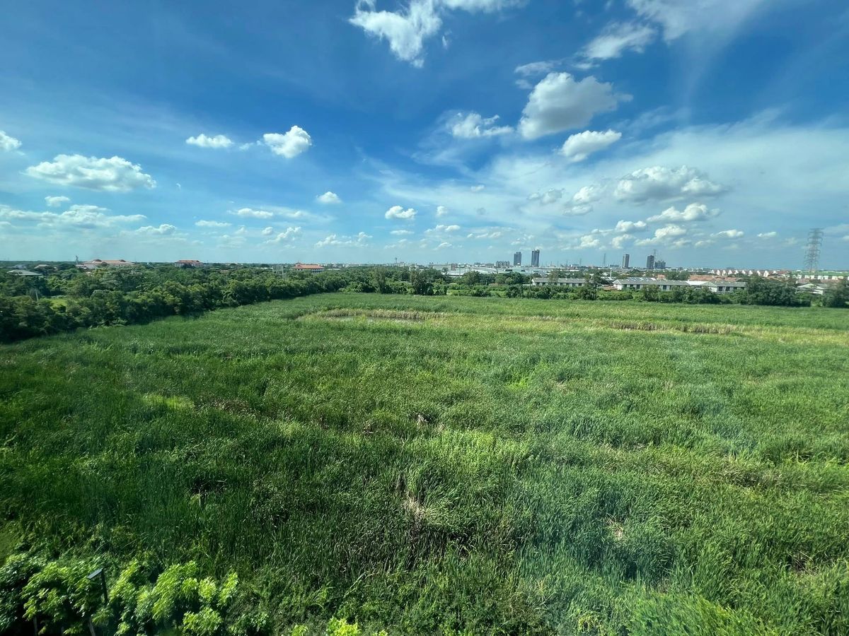 For RentCondoPathum Thani,Rangsit, Thammasat : 🌟provideliving🌟 Rent Kave Town Colony, full -sided pool view, Line: @provideliving