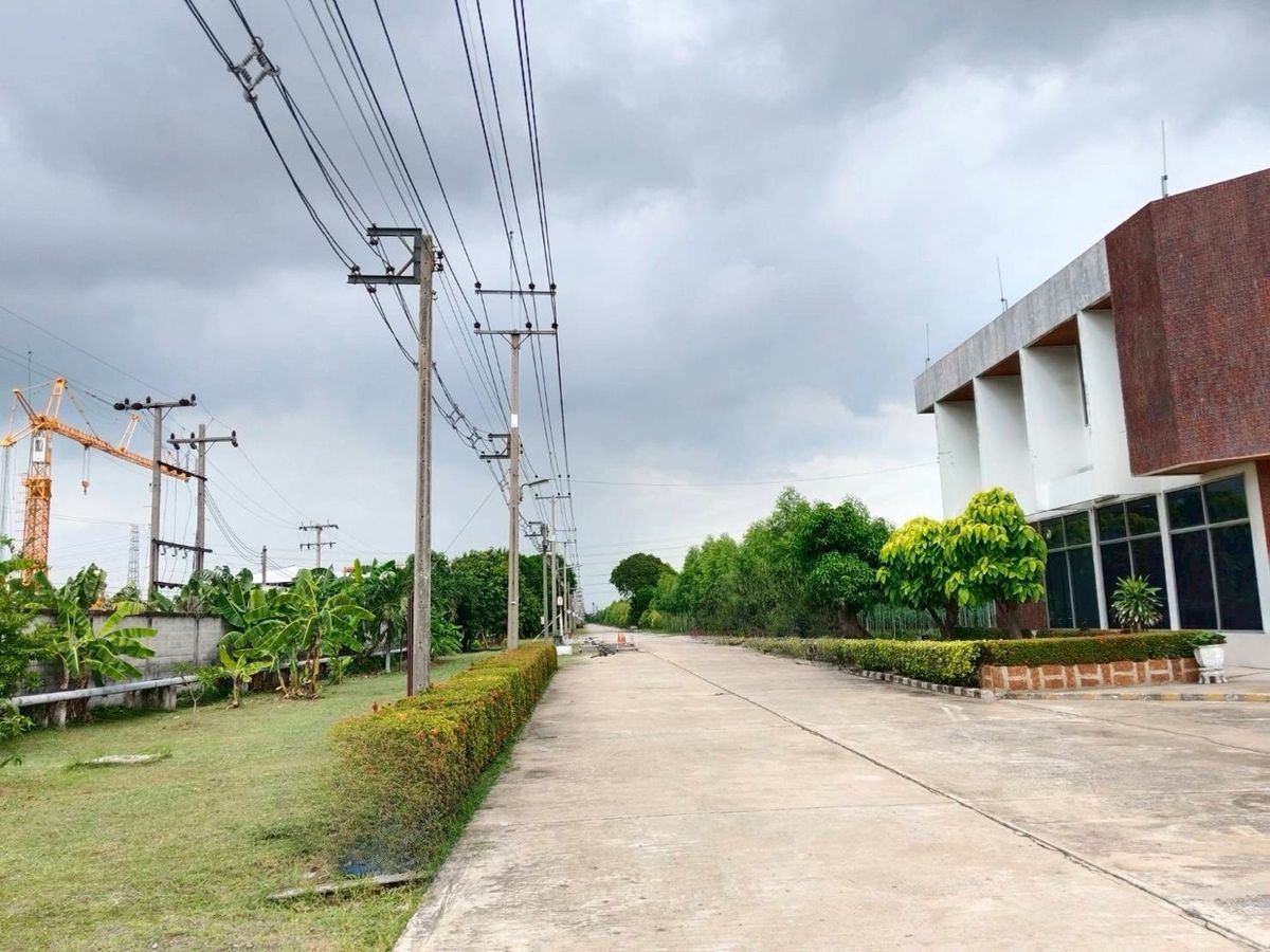 For SaleLandPathum Thani,Rangsit, Thammasat : Land for sale, Purple Plan, Phahonyothin Road, area 110-3-35 Rai, Khlong Nueng Subdistrict, Khlong Luang District, Pathum Thani Province