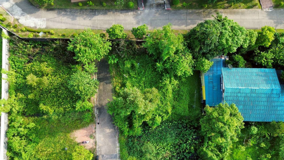 ขายที่ดินจันทบุรี : ขายที่ดินใจกลางเมือง ย่านแหล่งชุมชนพระยาตรัง อ.เมือง จ.จันทบุรี