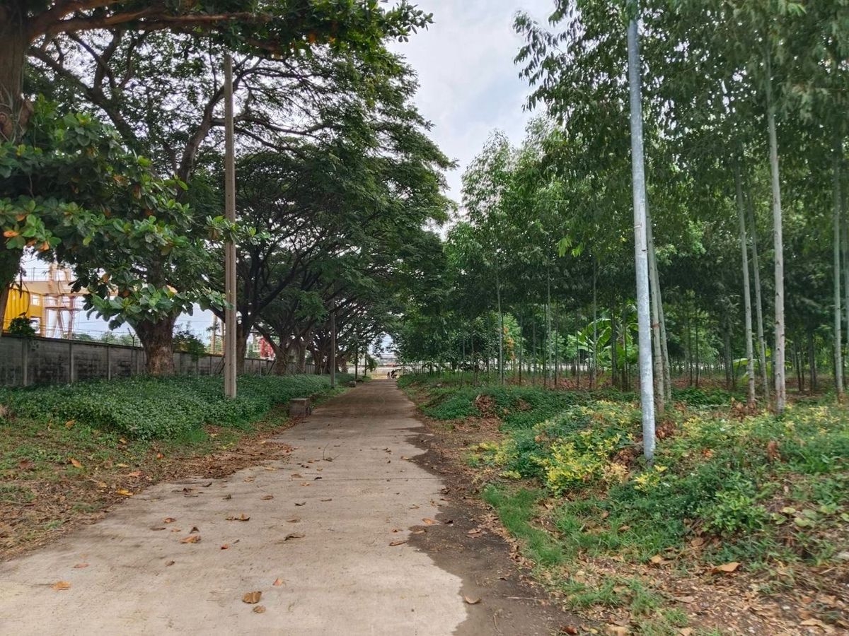 For SaleLandPathum Thani,Rangsit, Thammasat : Land for sale, Purple Plan, Phahonyothin Road, area 110-3-35 Rai, Khlong Nueng Subdistrict, Khlong Luang District, Pathum Thani Province