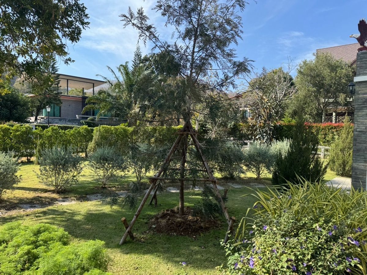 For SaleHousePak Chong KhaoYai : Khao Yai Villa, Phu Phatra, Khao Yai, the 7th Ozone weather in the world