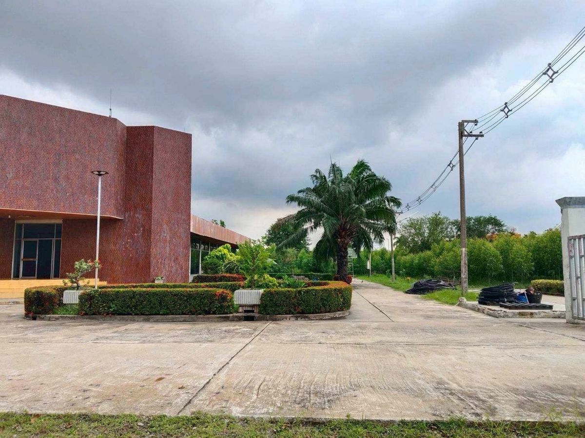 For SaleLandPathum Thani,Rangsit, Thammasat : Land for sale, Purple Plan, Phahonyothin Road, area 110-3-35 Rai, Khlong Nueng Subdistrict, Khlong Luang District, Pathum Thani Province