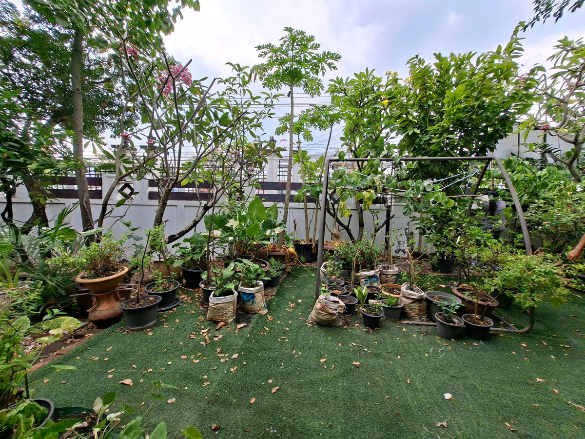 ขายบ้านลาดกระบัง สุวรรณภูมิ : ราคาดีที่สุด🔥บ้านเดี่ยว 133.5 ตร.วา✈️ ใกล้สุวรรณภูมิ 6 ห้องนอน 5 ห้องน้ำ🔥ถูกสุดในย่านนี้ สวยพร้อมอยู่ สนใจ 📞0994152664 , 0803696366