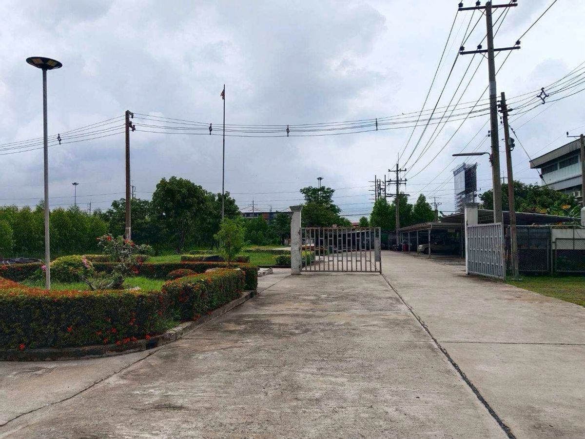 For SaleLandPathum Thani,Rangsit, Thammasat : Land for sale, Purple Plan, Phahonyothin Road, area 110-3-35 Rai, Khlong Nueng Subdistrict, Khlong Luang District, Pathum Thani Province