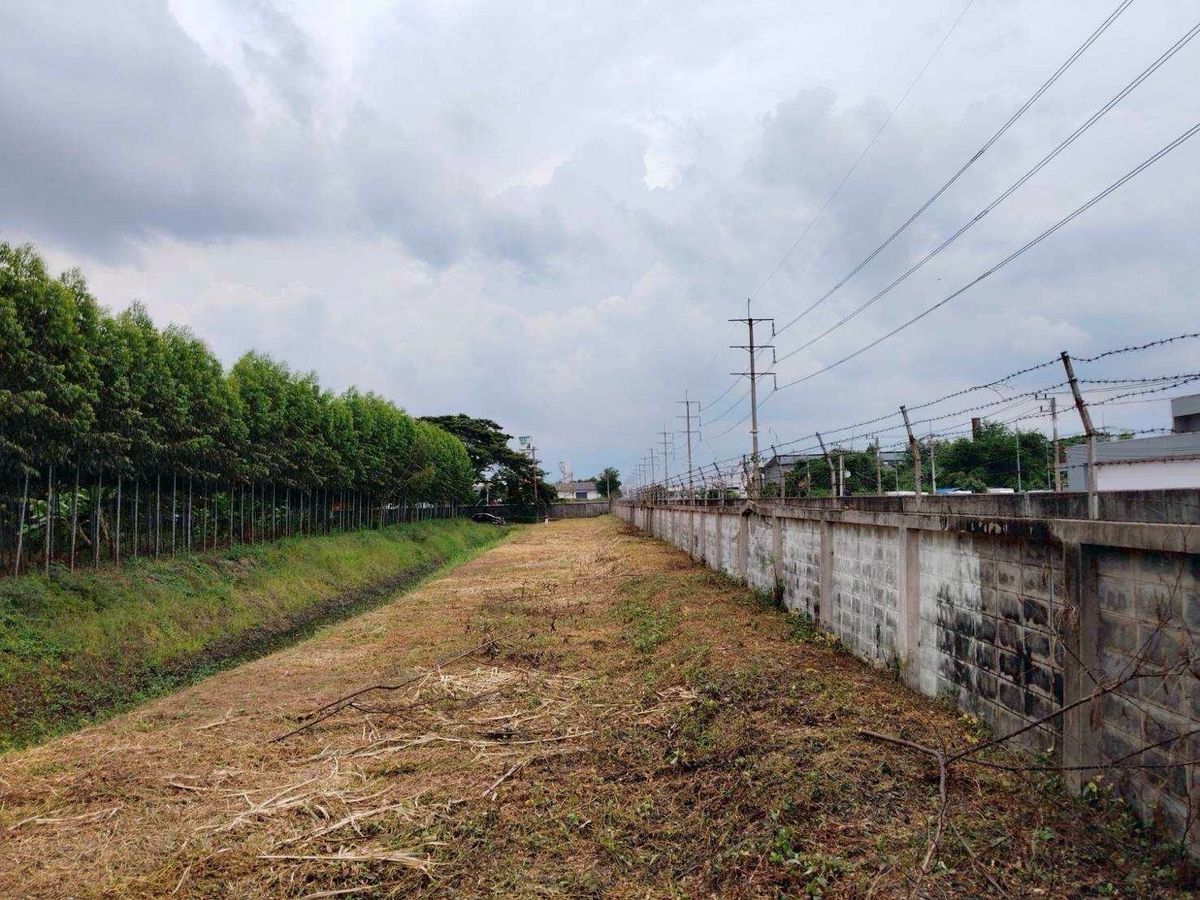 For SaleLandPathum Thani,Rangsit, Thammasat : Land for sale, Purple Plan, Phahonyothin Road, area 110-3-35 Rai, Khlong Nueng Subdistrict, Khlong Luang District, Pathum Thani Province