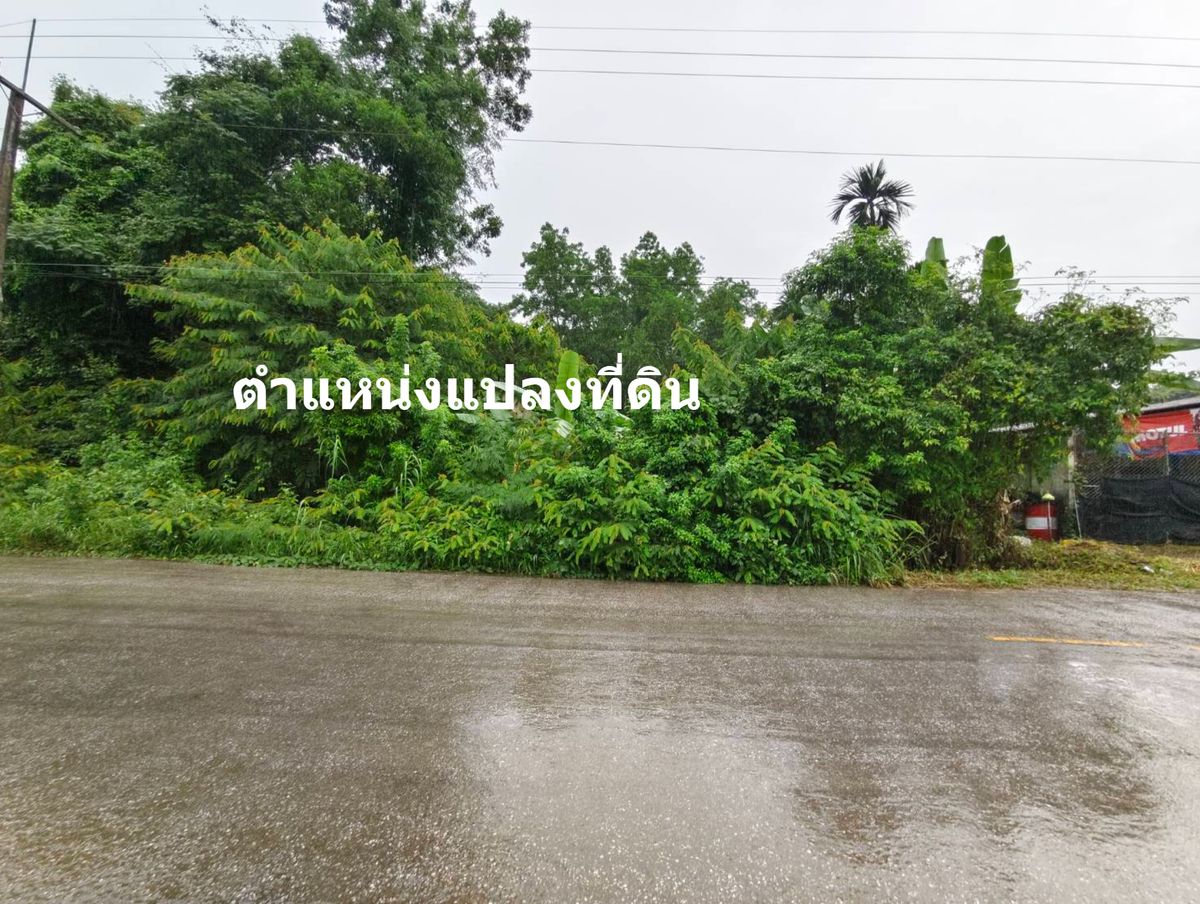ขายที่ดินจันทบุรี : ขายที่ดิน ใกล้แหล่งชุมชน ต.คลองพลู อ.เขาคิชฌกูฏ จ.จันทบุรี