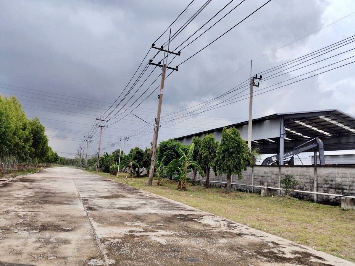 For SaleLandPathum Thani,Rangsit, Thammasat : Land for sale, Purple Plan, Phahonyothin Road, area 110-3-35 Rai, Khlong Nueng Subdistrict, Khlong Luang District, Pathum Thani Province