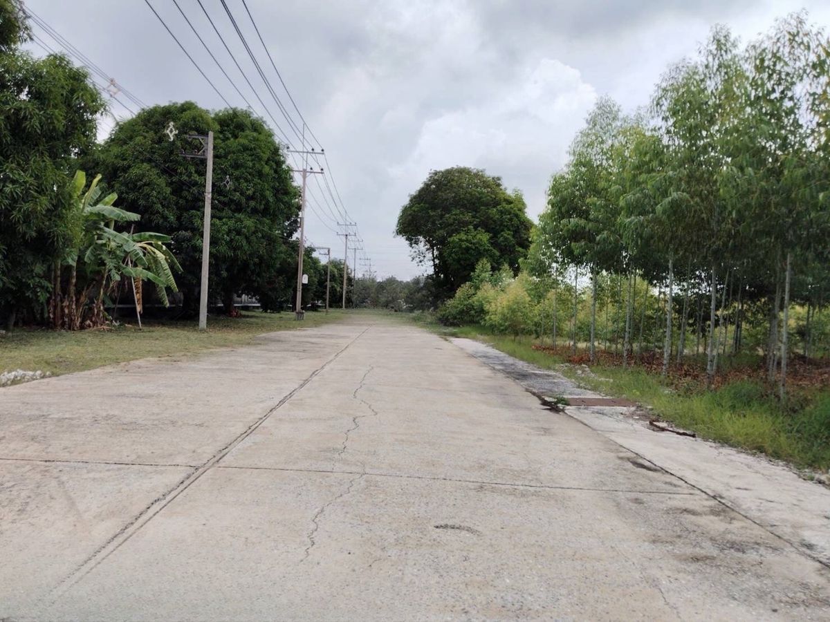For SaleLandPathum Thani,Rangsit, Thammasat : Land for sale, Purple Plan, Phahonyothin Road, area 110-3-35 Rai, Khlong Nueng Subdistrict, Khlong Luang District, Pathum Thani Province