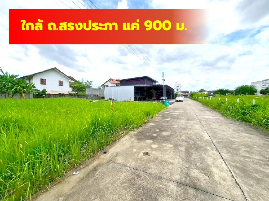 ขายที่ดินวิภาวดี ดอนเมือง หลักสี่ : ขาย ที่ดิน เวฬุนาราม ซอย 7 ขนาด 80 ตรว ใกล้ถ.สรงประภาแค่ 900 ม. DD