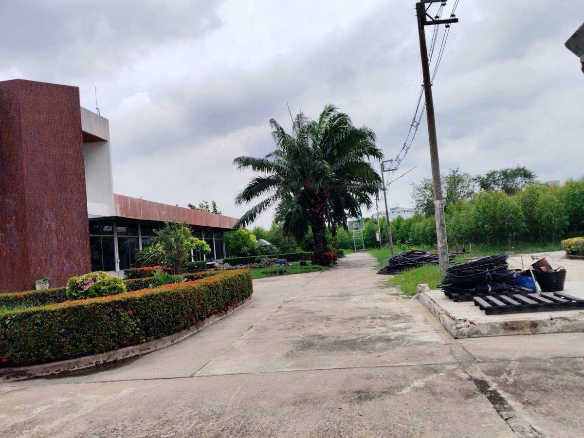 For SaleLandPathum Thani,Rangsit, Thammasat : Land for sale, Purple Plan, Phahonyothin Road, area 110-3-35 Rai, Khlong Nueng Subdistrict, Khlong Luang District, Pathum Thani Province