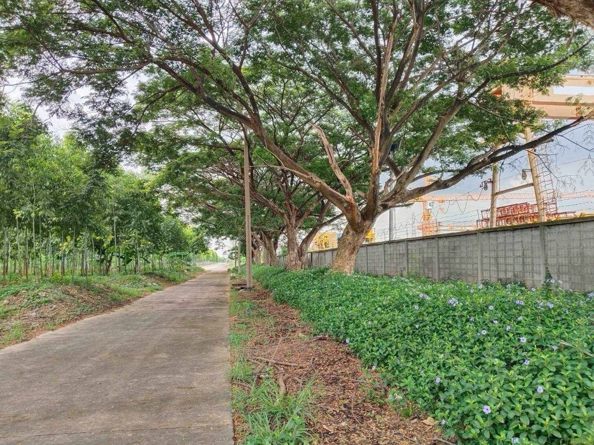 For SaleLandPathum Thani,Rangsit, Thammasat : Land for sale, Purple Plan, Phahonyothin Road, area 110-3-35 Rai, Khlong Nueng Subdistrict, Khlong Luang District, Pathum Thani Province