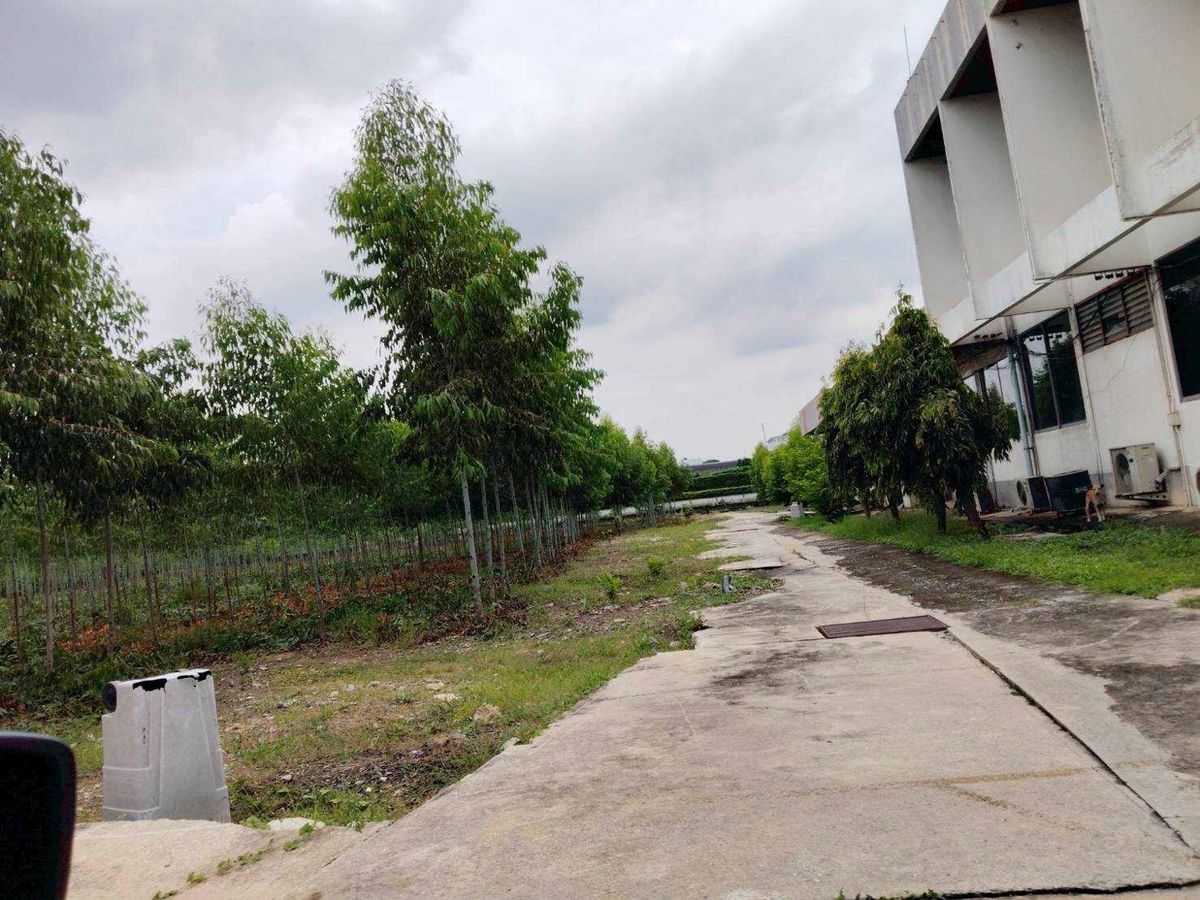 For SaleLandPathum Thani,Rangsit, Thammasat : Land for sale, Purple Plan, Phahonyothin Road, area 110-3-35 Rai, Khlong Nueng Subdistrict, Khlong Luang District, Pathum Thani Province