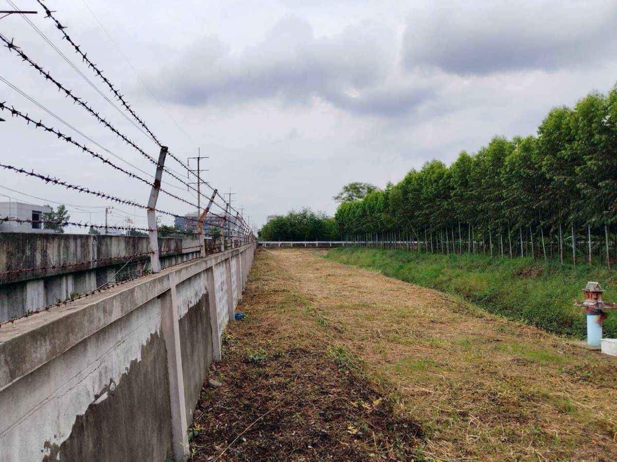 For SaleLandPathum Thani,Rangsit, Thammasat : Land for sale, Purple Plan, Phahonyothin Road, area 110-3-35 Rai, Khlong Nueng Subdistrict, Khlong Luang District, Pathum Thani Province