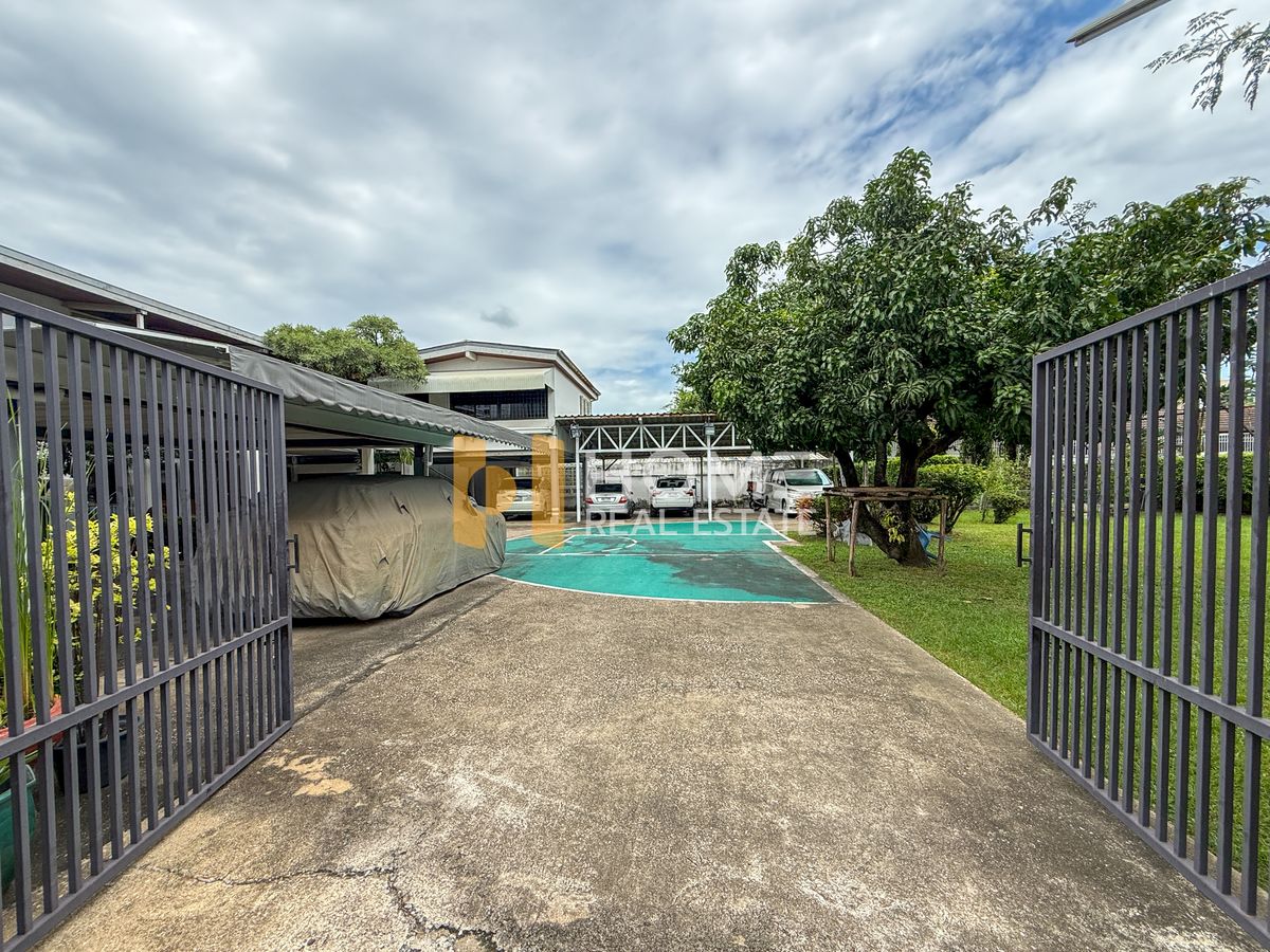 ขายที่ดินสุขุมวิท อโศก ทองหล่อ : แปลงหายาก ✨ ที่ดิน ทองหล่อ 25 / 395 ตารางวา (ขาย), Land Thonglor 25 / 395 Square Wa (FOR SALE) PALM887