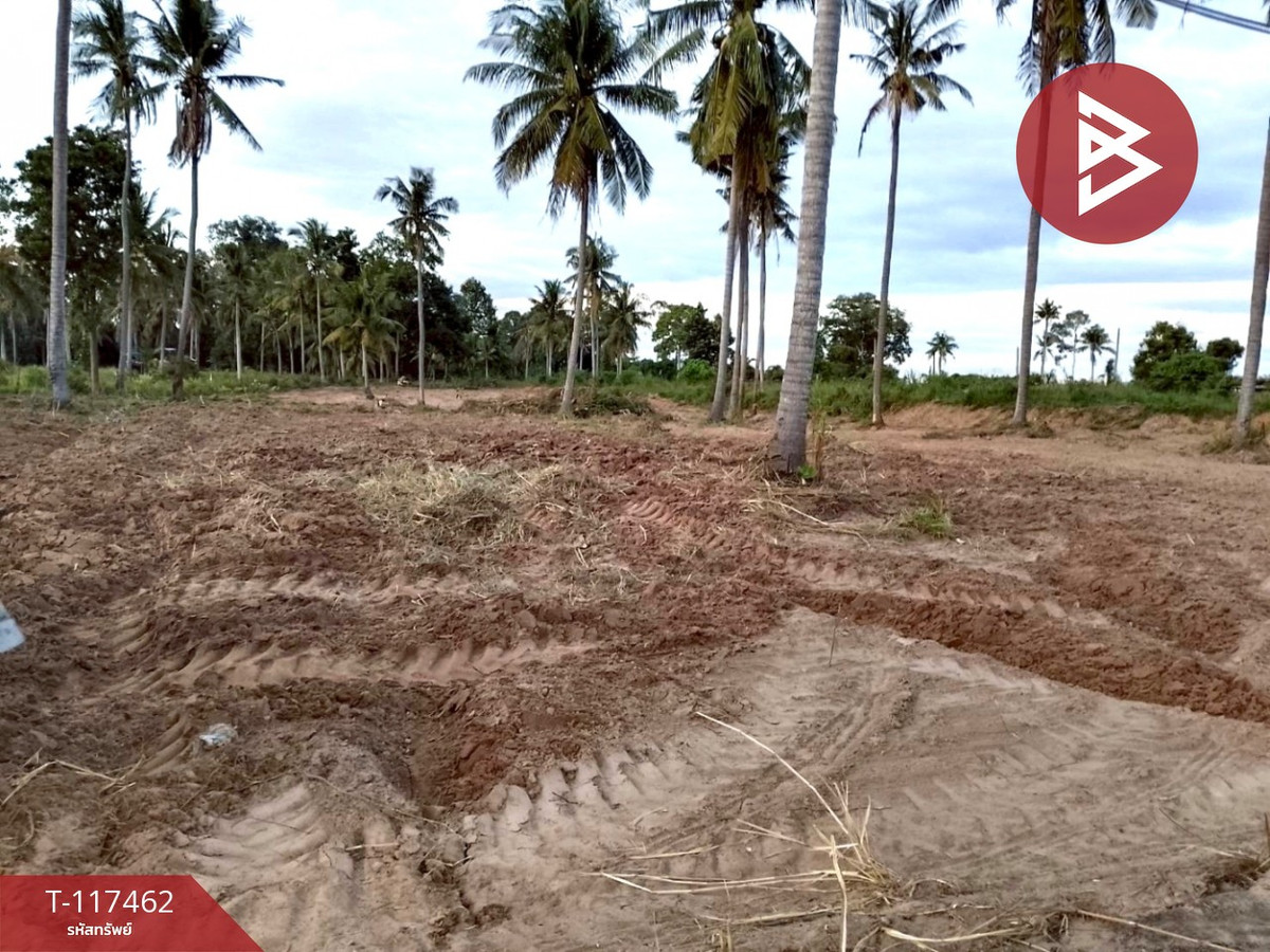 ขายที่ดิน เนื้อที่ 2 ไร่ 3 งาน ศรีราชา ชลบุรี Loading...