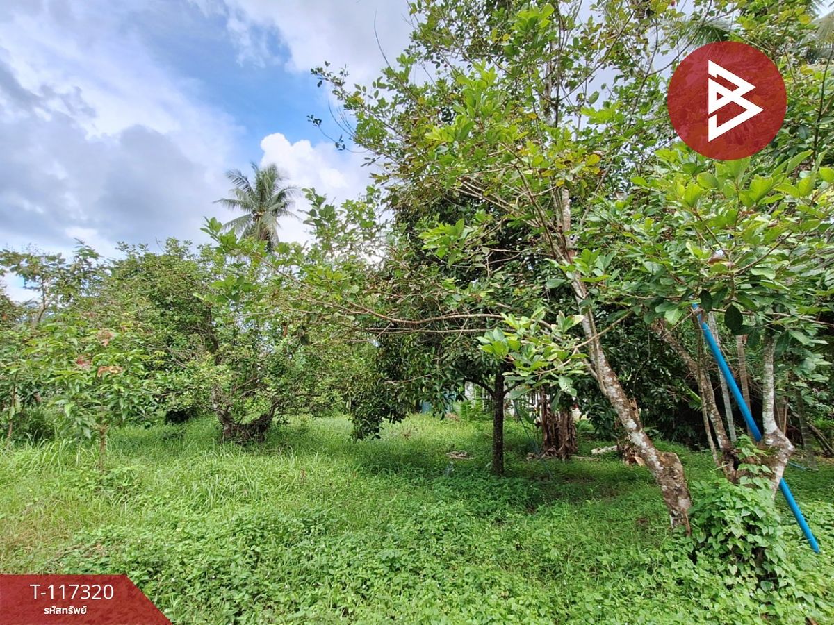 ขายที่ดินนครศรีธรรมราช : ขายที่ดิน เนื้อที่ 1 งาน 59.9 ตร.วา โพธิ์เสด็จ นครศรีธรรมราช