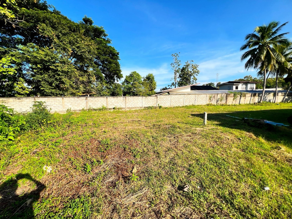 ขายที่ดินเชียงราย : ที่ดินแปลงสวย อ.พาน จ.เชียงราย