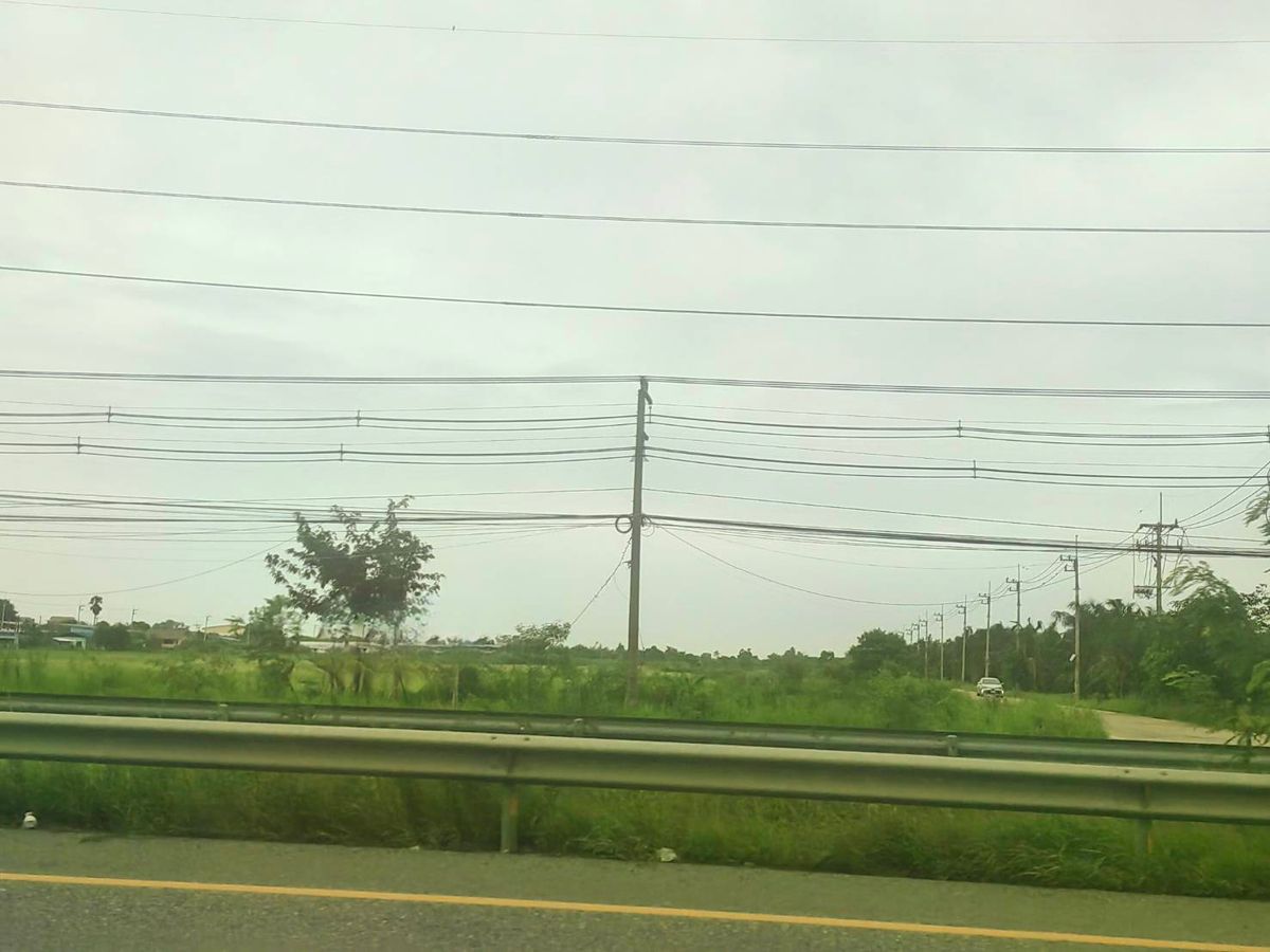 ขายที่ดินมีนบุรี-ร่มเกล้า : ขายที่ดิน 123 ไร่ แปลงสวยติดถนนใหญ่ ถนนสุวินทวงศ์ อ.บางน้ำเปรี้ยว จ.ฉะเชิงเทรา วิ่งเส้น 304 จากมีนบุรี  