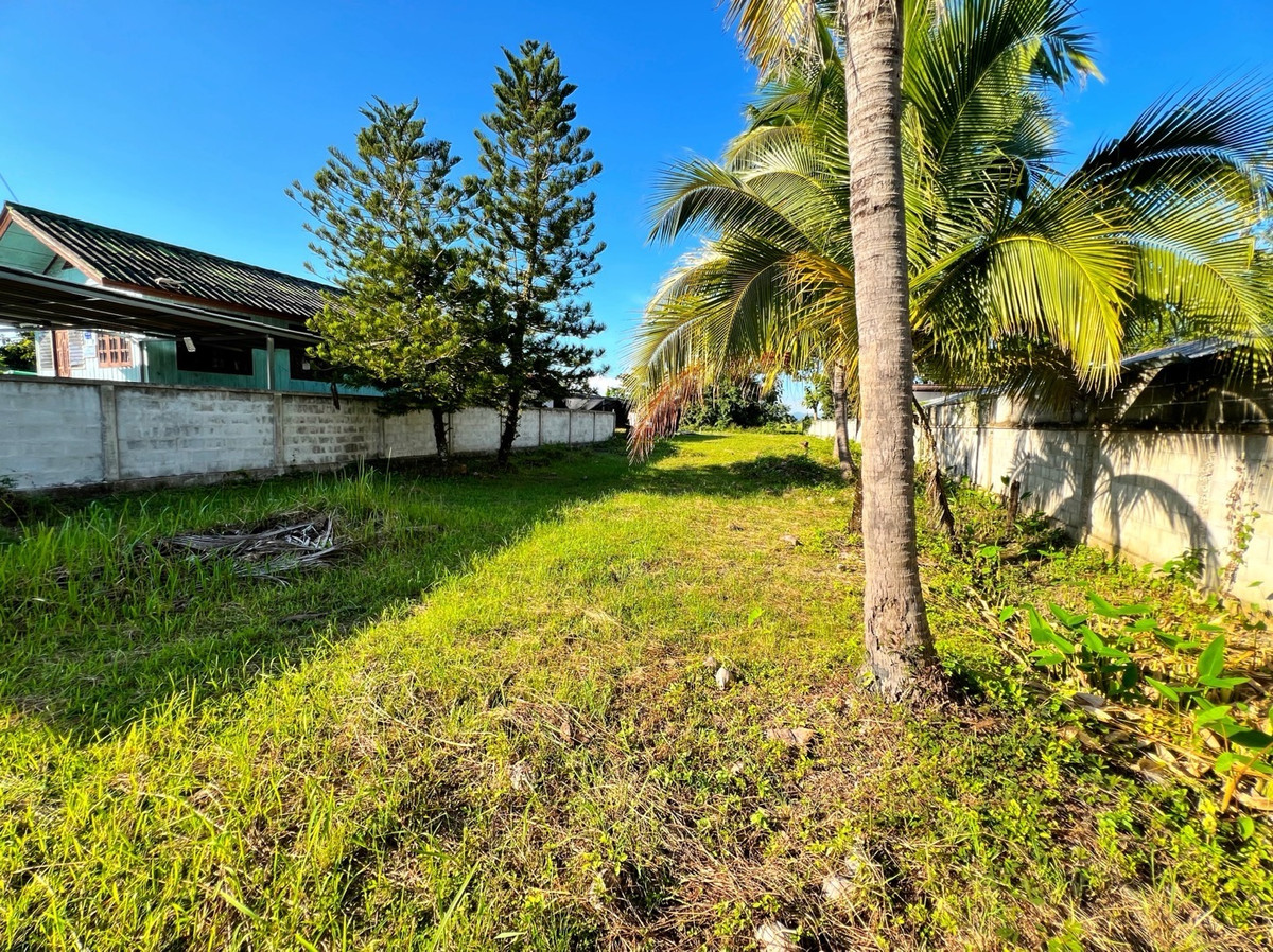 ขายที่ดินเชียงราย : ที่ดินแปลงสวย อ.พาน จ.เชียงราย