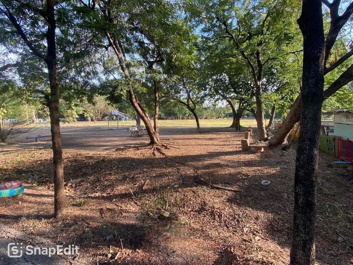 ขายที่ดินปทุมธานี รังสิต ธรรมศาสตร์ : 📢👇โอกาสทอง! ที่ดินแปลงใหญ่ พหลโยธิน  หน้ากว้าง เหมาะสำหรับลงทุนหรือพัฒนาโครงการต่างๆ