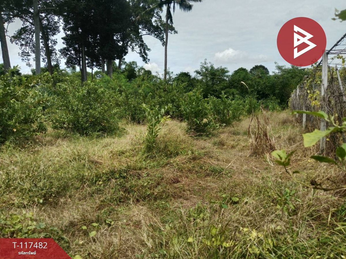 For SaleLandNakhon Sawan : Land for sale with Sapoda garden on the road, area of 2 rai 1 ngan 52 square wah, Phra Nakhon Sawan