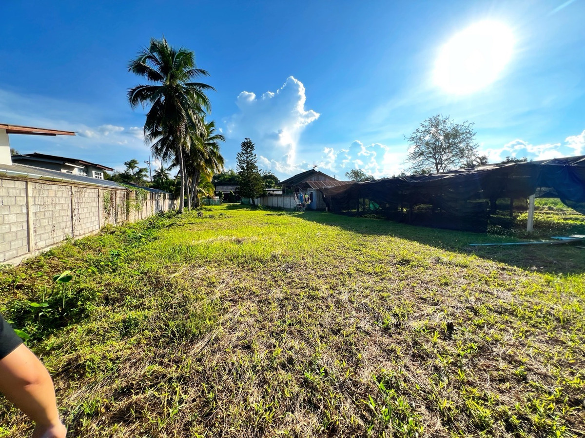 ขายที่ดินเชียงราย : ที่ดินแปลงสวย อ.พาน จ.เชียงราย