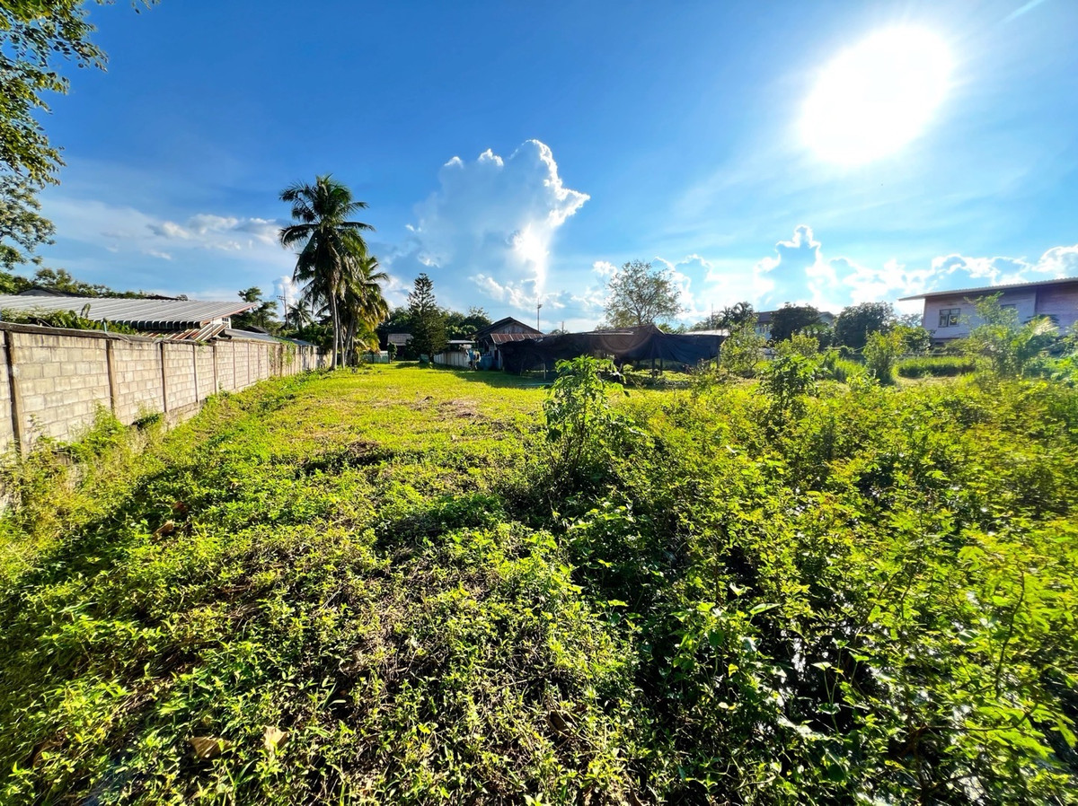 ขายที่ดินเชียงราย : ที่ดินแปลงสวย อ.พาน จ.เชียงราย