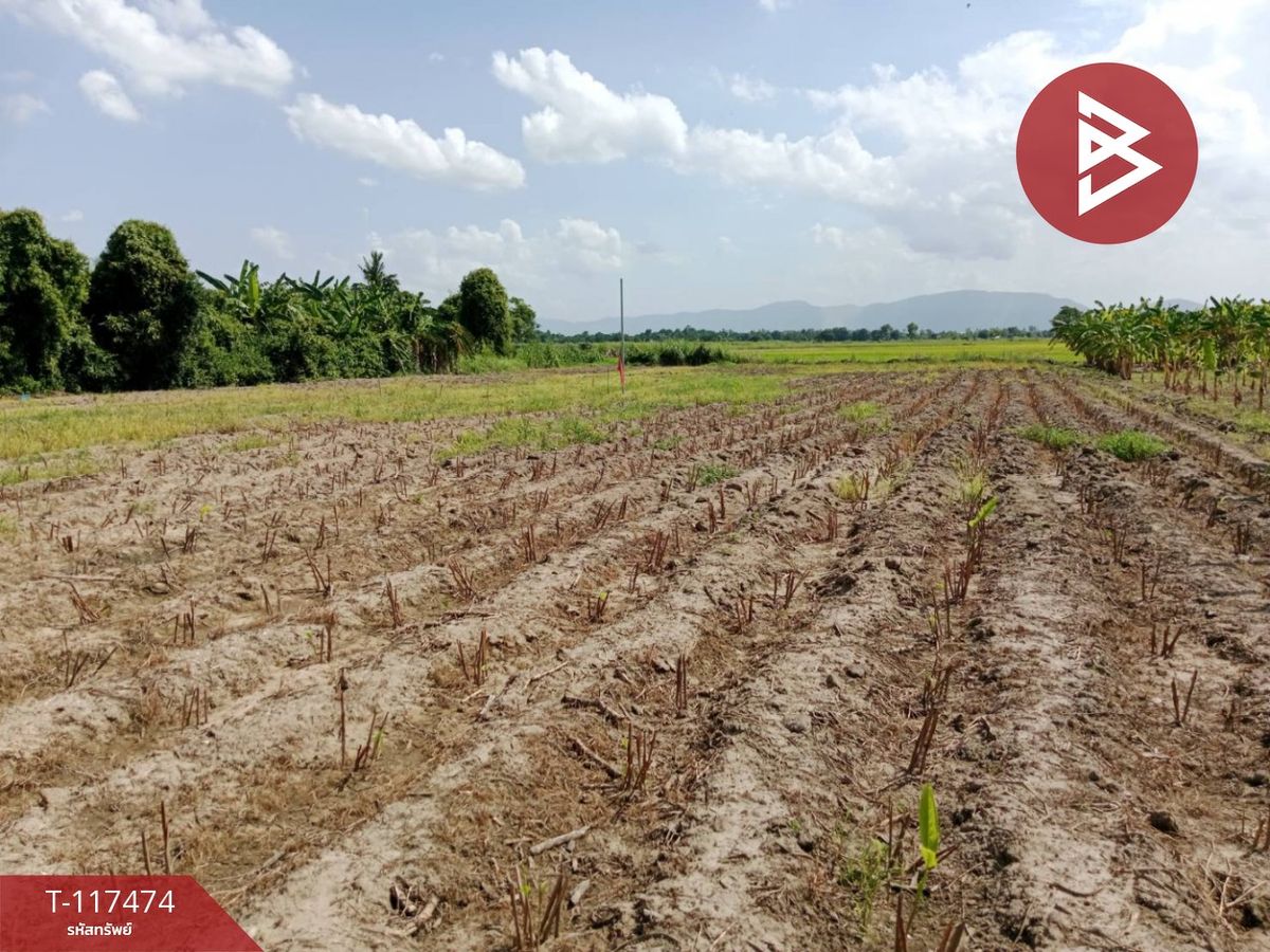 For SaleLandNakhon Sawan : Land for sale with galangal garden, area of 2 rai 3 ngan 96 square wah, Sai Nakhon Sawan Temple