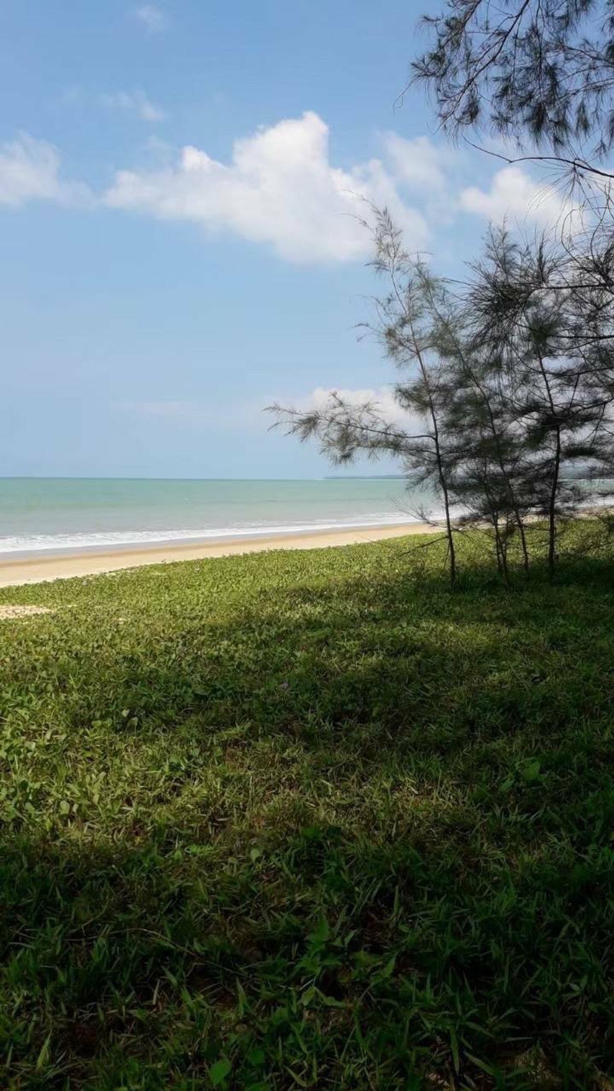 ขายที่ดินพังงา : [M6355-6] 🌴 ขายที่ดินเปล่า 8 ไร่ ติดทะเล (ต.เกาะคอเขา อ.ตะกั่วป่า จ.พังงา) ติดถนน 2 ด้าน ไร่ละ 6.5 ล้าน