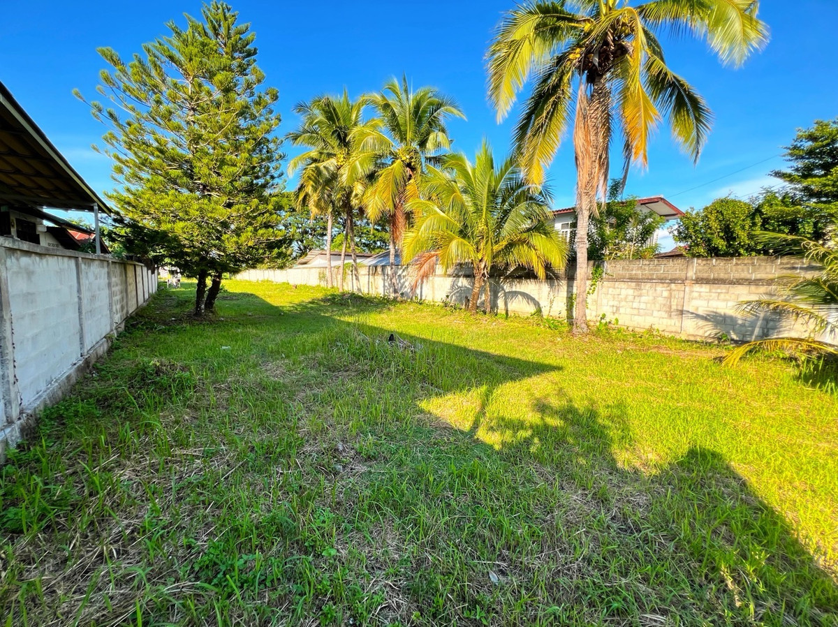 ขายที่ดินเชียงราย : ที่ดินแปลงสวย อ.พาน จ.เชียงราย