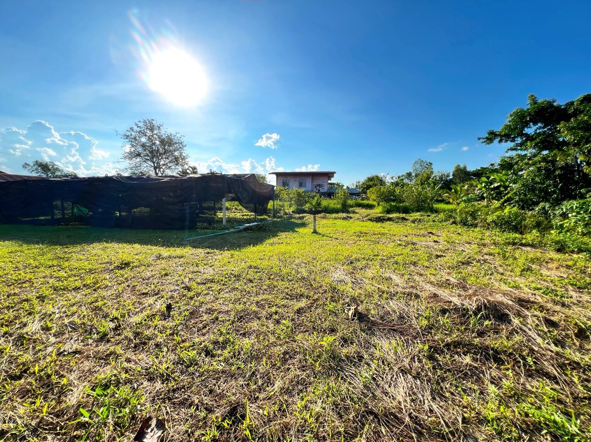 ขายที่ดินเชียงราย : ที่ดินแปลงสวย อ.พาน จ.เชียงราย