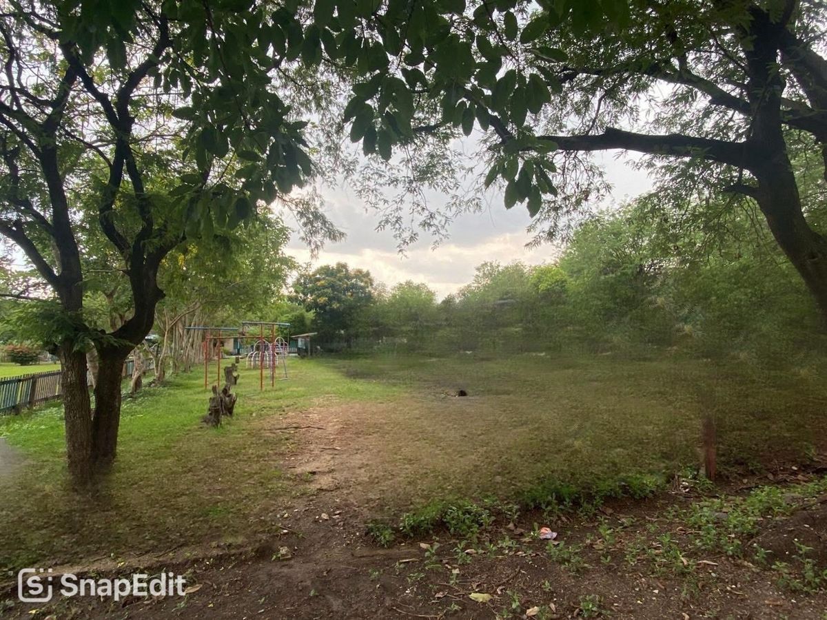 ขายที่ดินปทุมธานี รังสิต ธรรมศาสตร์ : 📢👇โอกาสทอง! ที่ดินแปลงใหญ่ พหลโยธิน  หน้ากว้าง เหมาะสำหรับลงทุนหรือพัฒนาโครงการต่างๆ