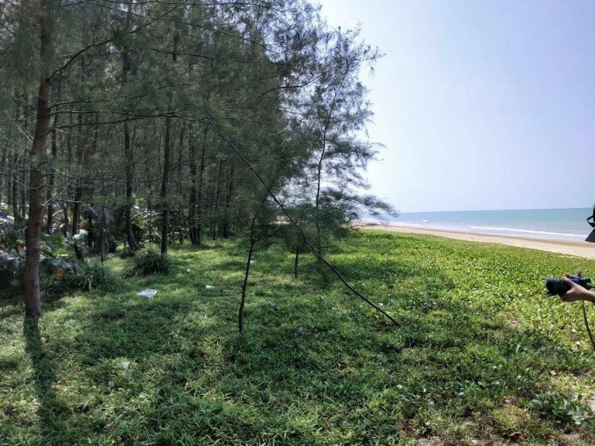 ขายที่ดินพังงา : [M6355-6] 🌴 ขายที่ดินเปล่า 8 ไร่ ติดทะเล (ต.เกาะคอเขา อ.ตะกั่วป่า จ.พังงา) ติดถนน 2 ด้าน ไร่ละ 6.5 ล้าน