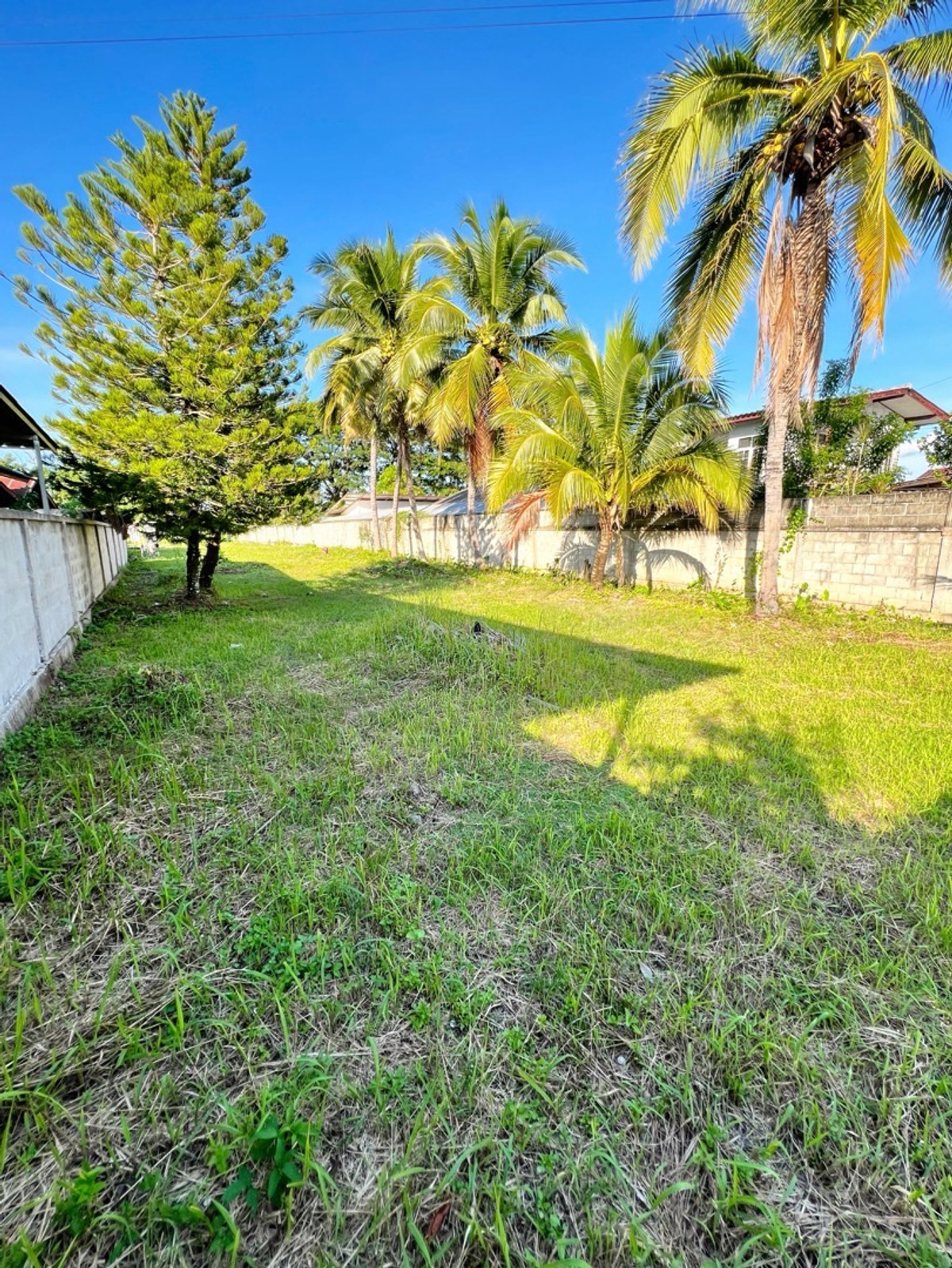 ขายที่ดินเชียงราย : ที่ดินแปลงสวย อ.พาน จ.เชียงราย