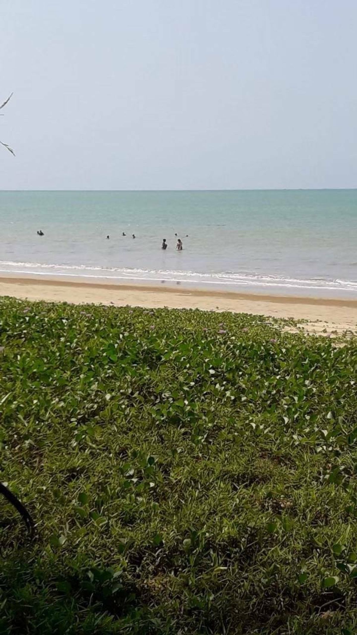 ขายที่ดินพังงา : [M6355-6] 🌴 ขายที่ดินเปล่า 8 ไร่ ติดทะเล (ต.เกาะคอเขา อ.ตะกั่วป่า จ.พังงา) ติดถนน 2 ด้าน ไร่ละ 6.5 ล้าน