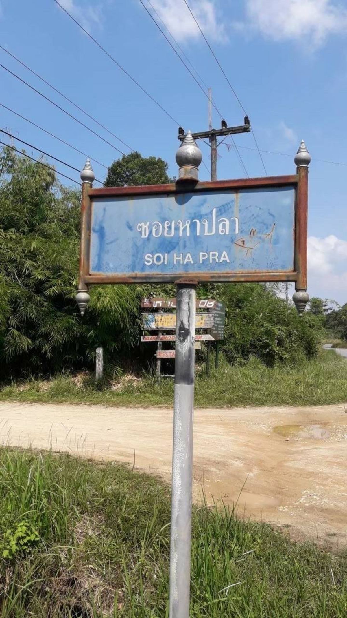 ขายที่ดินพังงา : [M6355-6] 🌴 ขายที่ดินเปล่า 8 ไร่ ติดทะเล (ต.เกาะคอเขา อ.ตะกั่วป่า จ.พังงา) ติดถนน 2 ด้าน ไร่ละ 6.5 ล้าน