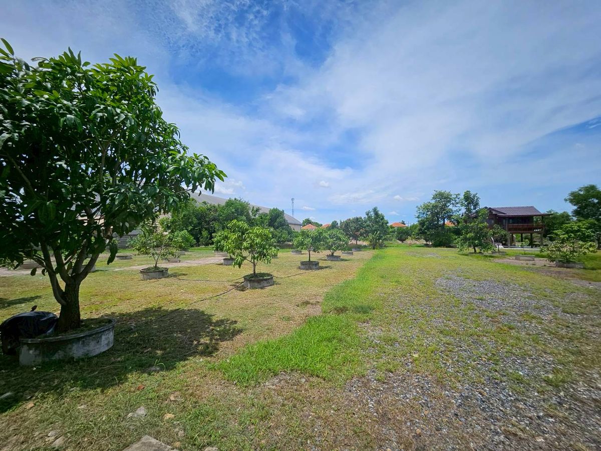 ขายที่ดินปทุมธานี รังสิต ธรรมศาสตร์ : ขายที่ดิน รังสิต คลอง 2 ซอยบงกต 33 คลองหลวง ถมแล้ว แปลงสวย ขนาด 6 ไร่ ราคา 48,000,000