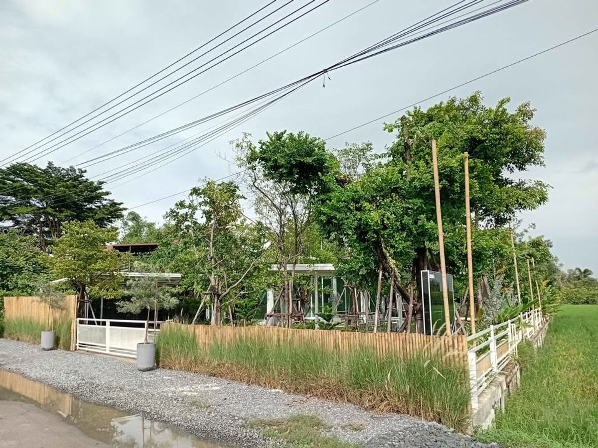 ให้เช่าบ้านพระราม 5 ราชพฤกษ์ บางกรวย : บ้านเดี่ยวสไตล์รีสอร์ท 4 หลัง พร้อมเฟอร์นิเจอร์ ตกแต่งสวยงาม ให้เช่า ย่านราชพฤกษ์-นนทบุรี ใกล้โรบินสันไลฟ์สไตล์ ราชพฤกษ์