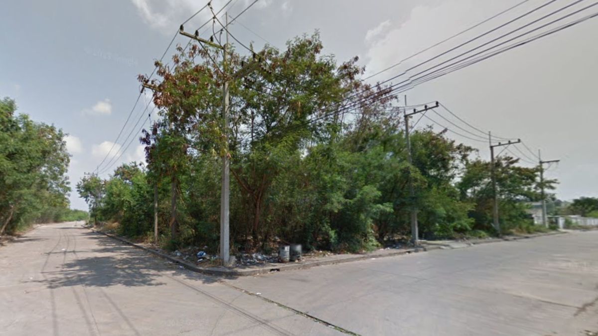 ขายที่ดินมหาชัย สมุทรสาคร : ขายที่ดินคอกกระบือ สมุทสาคร แปลงมุมติดถนน 2 ด้าน ใกล้ถนนเลียบคลองสี่วา (เจ้าของขายเอง)