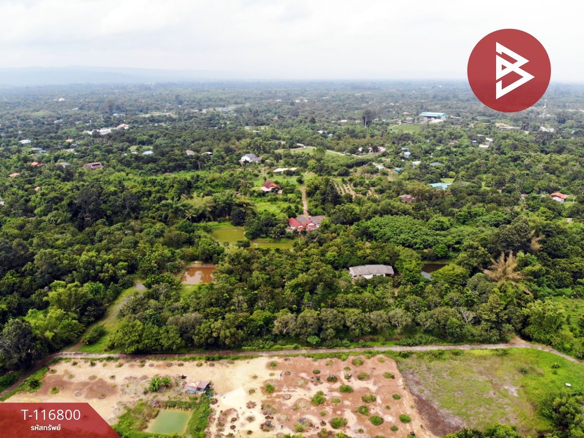 For SaleLandPrachin Buri : Land for sale, orchard, with an area of 18 rai 1 ngan 77 square wah, Phra Prachinburi House