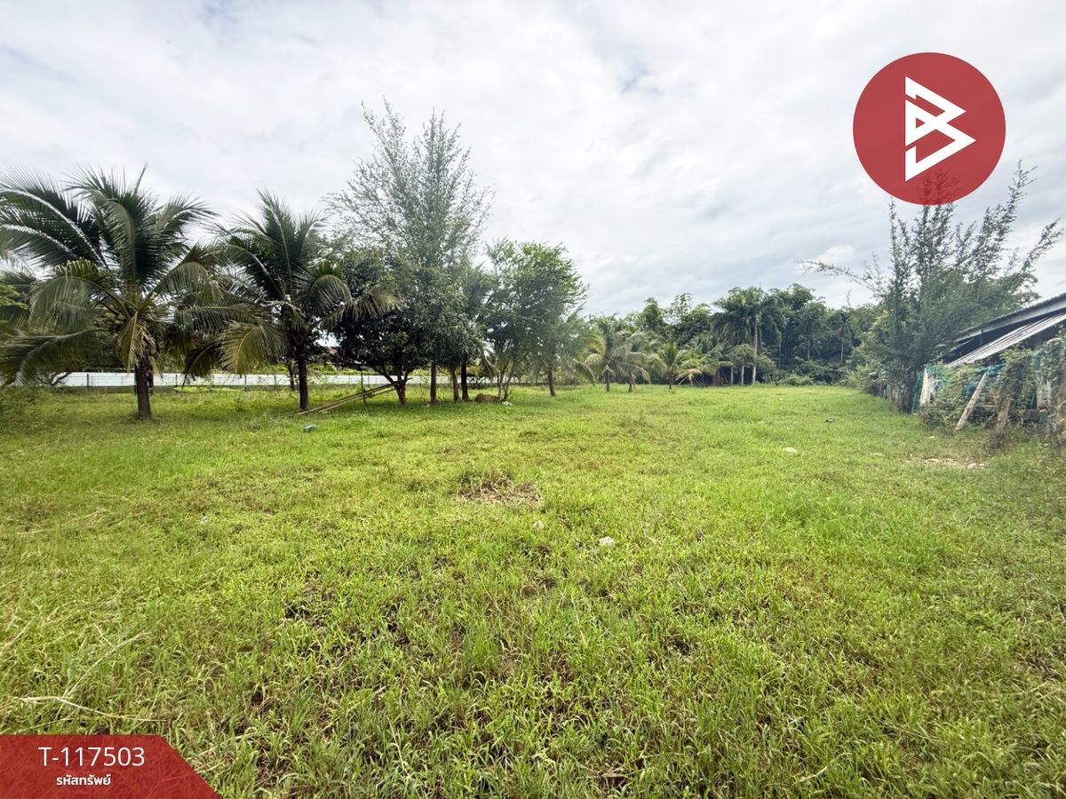For SaleLandChiang Mai : Land for sale, area of 2 rai, Nong Han San Sai, Chiang Mai